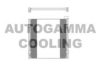 AUTOGAMMA 102663 Condenser, air conditioning